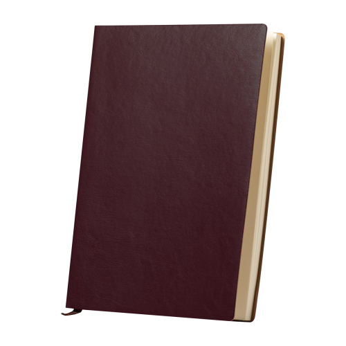 Paldon - Notes AP721728-08 - gadżety reklamowe GiftKolekcja.pl