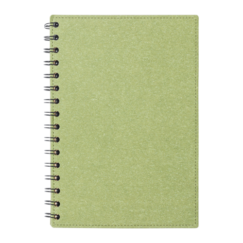 Idina. Notes AP722176-07.