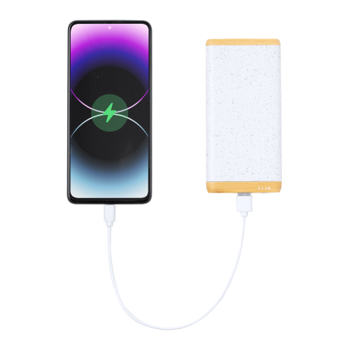 Coquin - Power bank AP734272-01 - gadżety reklamowe GiftKolekcja.pl