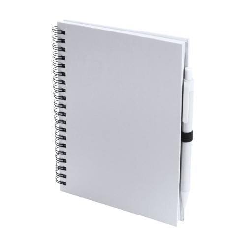 Koguel. Notes AP741501-01.